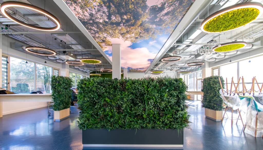 Custom Print Ceiling — STRETCH